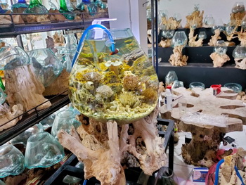 glass wood terrarium
