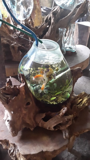 aquarium bowl on wood