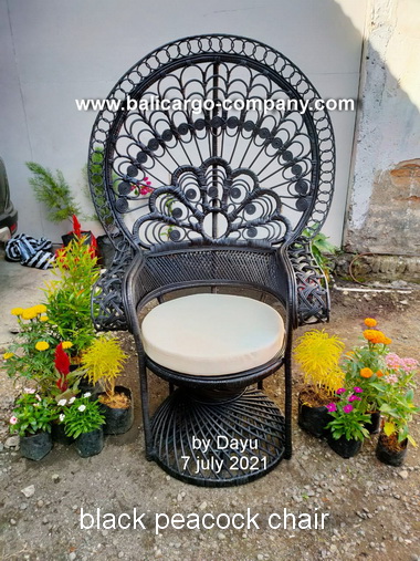 black peacock chair