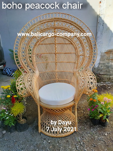 boho peacock chair