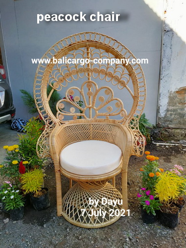 peacock chair