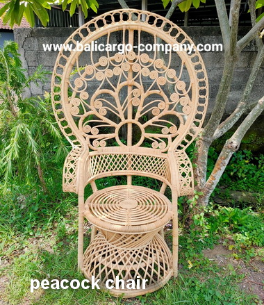 peacock chair