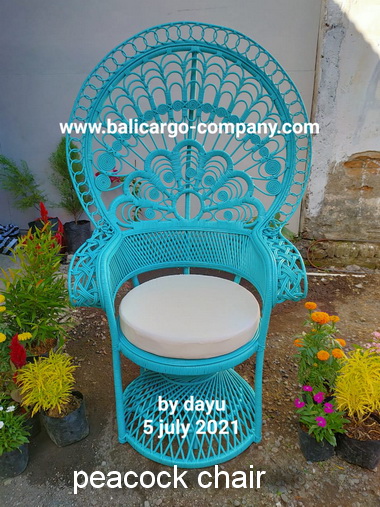 peacock chair