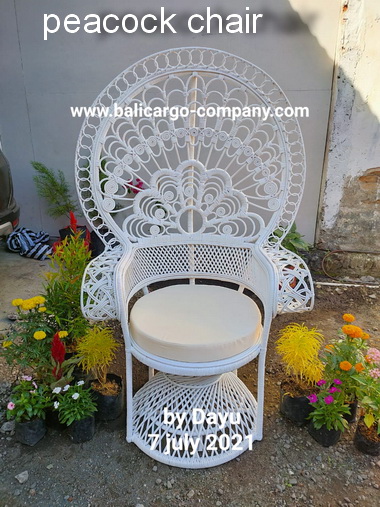 peacock chair