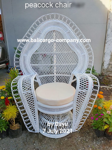 peacock chair