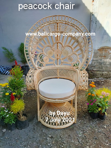 peacock chair