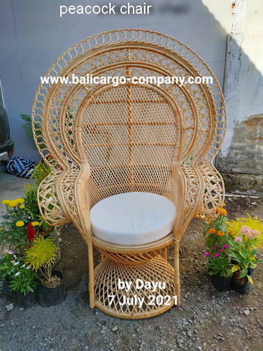 peacock chair