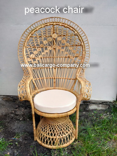 peacock chair