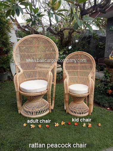 rattan peacock chair