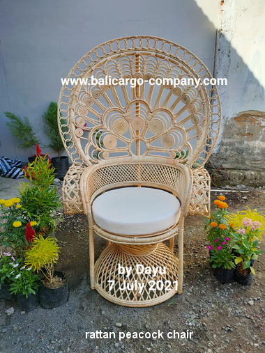 rattan peacock chair