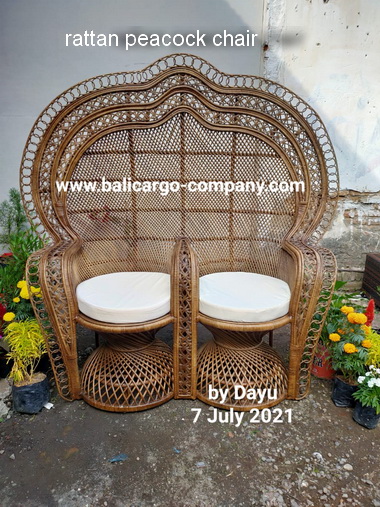 rattan peacock chair
