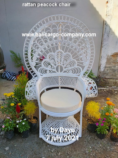 bali peacock chair