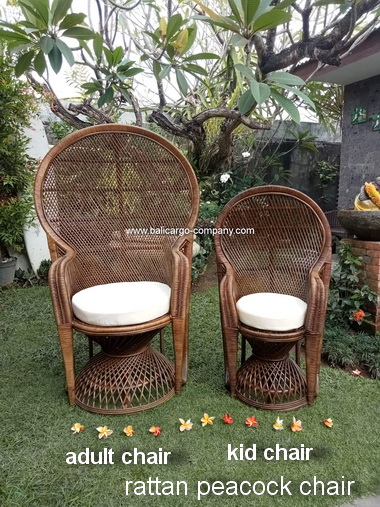 rattan peacock chair