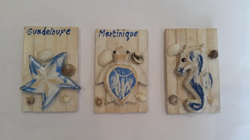 turtle fridgme magnet