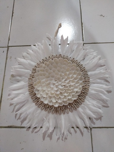 seashell wall decor