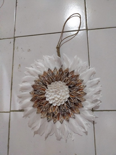 seashell wall decor